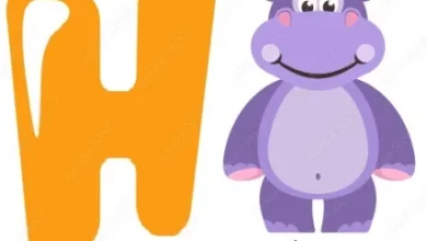Animals that begin with the letter H